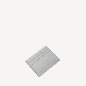 Porte-carte de passeport pour homme, couleur argent