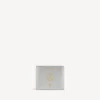 Portefeuille carré plié pour passeport homme, couleur argent