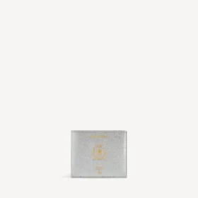Portefeuille carré plié pour passeport homme, couleur argent