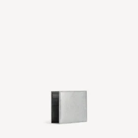 Portefeuille carré plié pour passeport homme, couleur argent