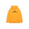 Sweats à capuche « Year Of The Tiger » coupe moyenne « Orange » 600583TLVI67702