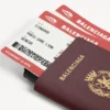 Étui pour téléphone et passeport pour homme, couleur bordeaux
