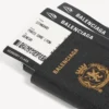 Étui pour téléphone « passeport » pour homme, noir